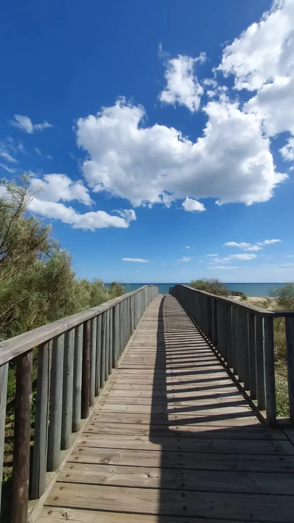 beach boardwalk