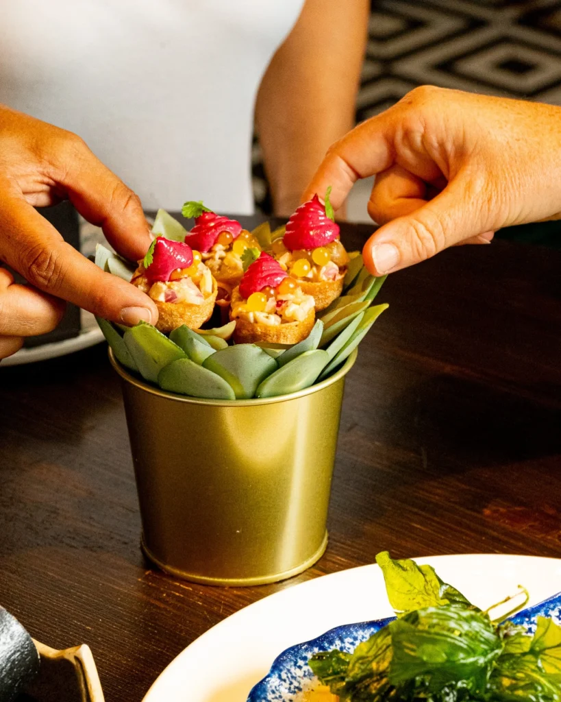 Gourmet Tapas Restaurant