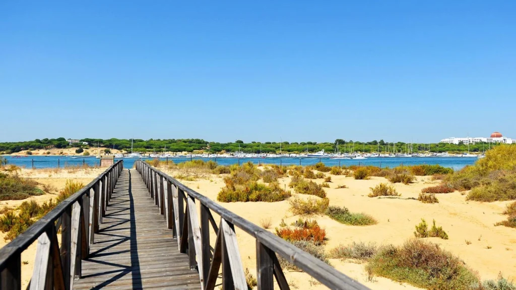Sunny boardwalk by the beach, perfect for long walks