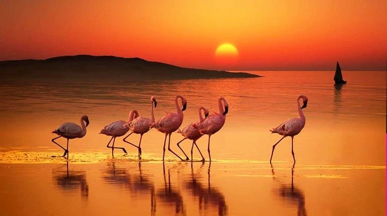Doñana National Park